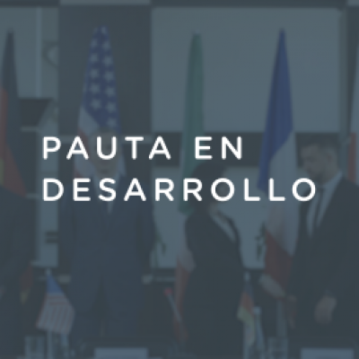 Pauta en desarrollo - 10 de febrero 2020