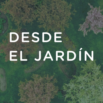 Desde el jardín - 26 de febrero 2020