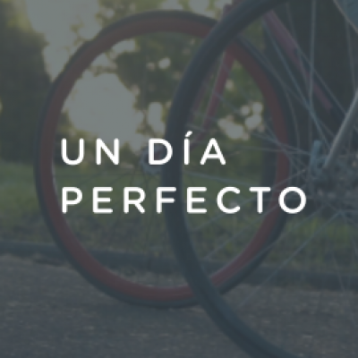 Un día perfecto - 15 de julio 2020