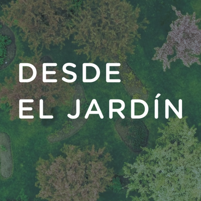 Desde el jardín - 17 de julio 2020