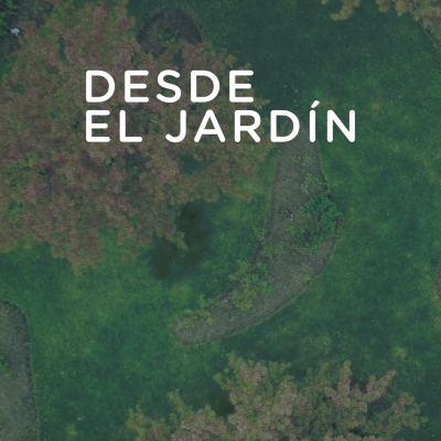 Desde el Jardín - 22 de febrero de 2021