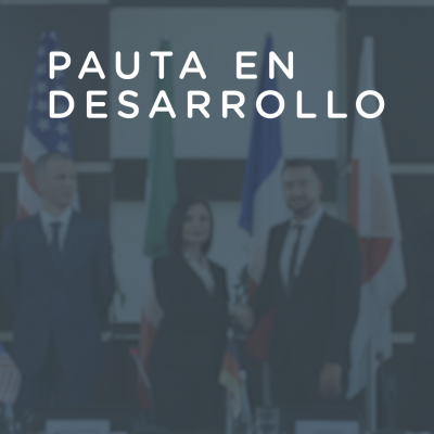 Pauta en Desarrollo - 9 de junio de 2021