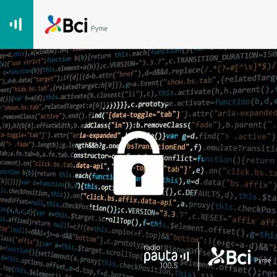 Capítulo 8: La importancia de la ciberseguridad para las pymes