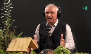 Desde el jardín - 13 de mayo 2019