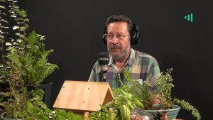 David Vera-Meiggs: La Reina