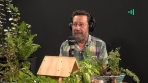 David Vera-Meiggs: El discurso del rey