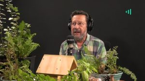 David Vera-Meiggs: un escape real