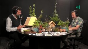 David Vera-Meiggs: The Royal House of Windsor