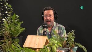 David Vera-Meiggs: The story of Diana