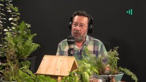 David Vera-Meiggs: The Crown