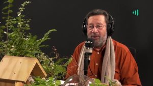 David Vera-Meiggs: Julio comienza en julio