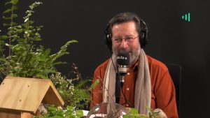 David Vera-Meiggs: Luna de papel