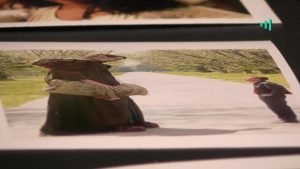 David Vera-Meiggs: Big Fish