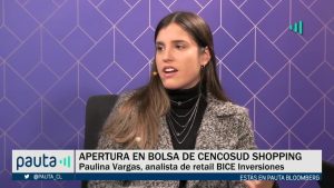 PAUTA Bloomberg BICE recomendacion