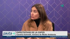 PAUTA Bloomberg Schmidt cop