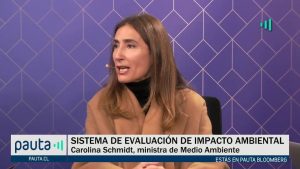 PAUTA Bloomberg Schmidt indicaciones