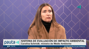 PAUTA Bloomberg  Instituciones ambientales