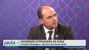 PAUTA Bloomberg Rodríguez Litio