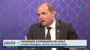 PAUTA Bloomberg Rodríguez Amazon