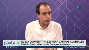 PAUTA Bloomberg Campos Australes cooperativa