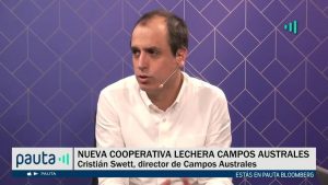 PAUTA Bloomberg Campos Australes exención