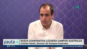 PAUTA Bloomberg Campos Australes importación