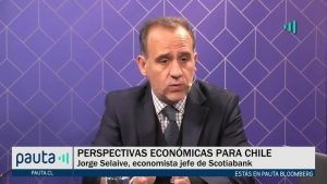 PAUTA Bloomberg Selaive crecimiento