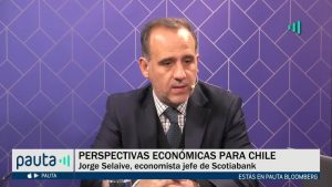 PAUTA Bloomberg Selaive reformas