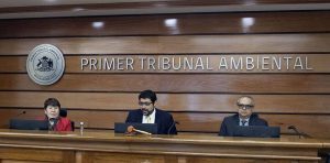 Tribunales Ambientales: ministro plantea analizar el régimen de nombramientos