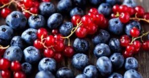 La nueva cosecha de Hortifrut