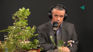 Desde el Jardín - 6 de agosto de 2019