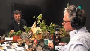 Desde el Jardín - 7 de agosto de 2019