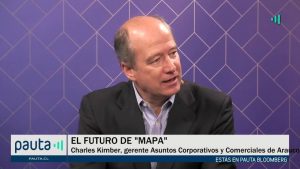 PAUTA Bloomberg Arauco Mapa