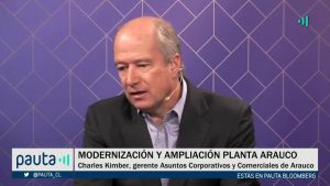 PAUTA Bloomberg Arauco Precios