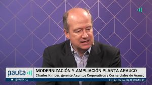 PAUTA Bloomberg Arauco completo