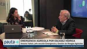 Un día perfecto: 25% del territorio nacional se encuentra afectado por la sequía