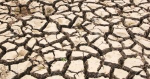 25% del territorio nacional se encuentra afectado por la sequía más crítica de la historia