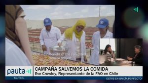 Un dia perfecto: En un año se desperdician 1.300 millones de toneladas de comida