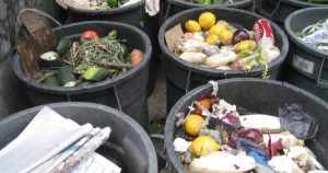 El mundo bota a la basura 1.300 millones de toneladas de comida por año