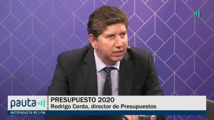 PAUTA BLOOMBERG CERDA CRECIMIENTO