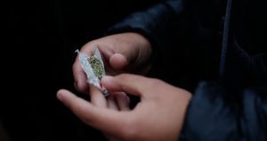 Chile, entre los mayores consumidores de marihuana del mundo