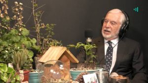 Desde el Jardín - 8 de noviembre de 2019