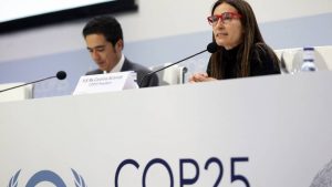 La criticada gestión de la ministra Schmidt en la COP25