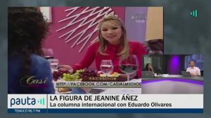 Perfil Jeanine Áñez - Un Día Perfecto