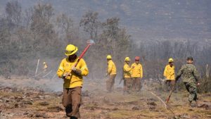 El enfoque sustentable para Valparaíso que pide Conaf