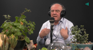 Desde el jardín - 17 de diciembre 2019