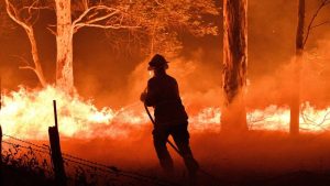 Los incendios asolan Australia tras el año más caliente y seco de su historia