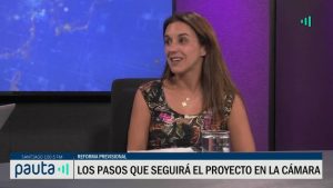 200122 PAUTA Bloomberg Natalia González trámite