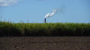 Productores brasileños optarían más por el azúcar que por el etanol