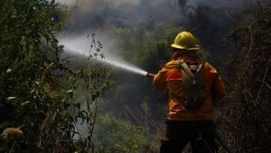 Conaf descarta una reacción tardía por incendios en El Maule